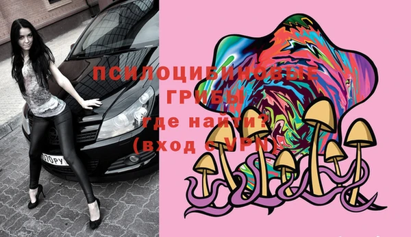кокс Алзамай