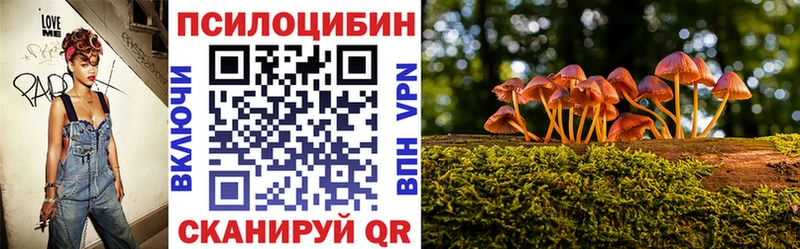 Псилоцибиновые грибы MAGIC MUSHROOMS  купить  сайты  Ачинск 